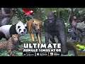 🐆Leopard VS Tigers, Lions, Elephants, Hippos, Gorillas Panda Chimp Crocodile Sloth Part 1