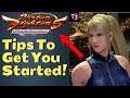 Virtua Fighter 5 Ultimate Showdown BEGINNER PRIMER  | What You Need to Know!
