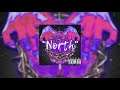 [Free Beat] "North" | Melodic Trap Type Beat | Lil Uzi Vert Type Beat 2021 ( prod. Treshe )