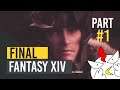 🔴 GAMEPLAY FINAL FANTASY 14 REALM REBORN PS4 INDONESIA PART1