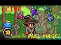 Terraria MAGE ONLY MASTER MODE Play Through with WaffleTime and Playirime!! :D