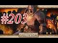 The Elder Scrolls IV Oblivion ITA - #203 Veyond!!!