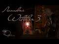Witcher 3 - #3 Впереди весь мир / Стрим Ведьмак 3 все дополнения / chillout
