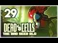 ALCHEMIC CARBINE CHEESE! [4BC] | Let's Play Dead Cells: Bad Seed DLC | Part 29 | Update Gameplay
