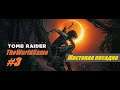 Прохождение Shadow of the Tomb Raider [#3] (Амазонка - Жестокая посадка)