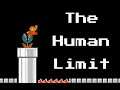 Super Mario Bros: The Human Limit