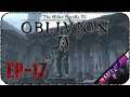 Королевские амулеты и планы Обливиона - Стрим - The Elder Scrolls IV: Oblivion [S-2, EP-17]