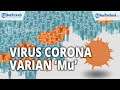Apa Itu Varian Baru Virus Corona 'Mu'?