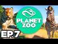 Planet Zoo Ep.7 - TIMBERWOLF ALPHA INFIGHTING, DISEASE OUTBREAK IN THE ZOO!! (Gameplay / Let’s Play)