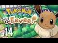 Pokemon: Let's Go, Eevee! - Flowery Maze | PART 14