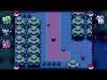Pokemon Zero: Through the forest and too the Gym (Part 2)