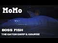 The Catch Carp & Course Massive Boss Fish MoMo Mekong Catfish