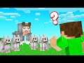Which WOLF Is The REAL SLOGO!? (Minecraft Guess Who)