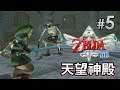 #5 天望神殿《薩爾達傳說 禦天之劍 HD | The Legend of Zelda: SKYWARD SWORD HD》