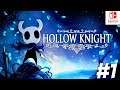 HOLLOW KNIGHT PART 1