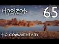 Horizon Zero Dawn: Ep.65 - Sun's Judgment & A Curious Proposal : Road To Platinum