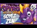 Spyro 2 Let's Play #3 Partie de Hockey Zen (Reignited Trilogy PS4)