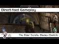 The Elder Scrolls: Blades | Direct Feed Gameplay | Switch