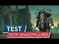 World of WarCraft Shadowlands Test / Review: Eine gute Erweiterung!