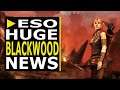 ESO | NEW Companion Details, Oblivion Portals, & Massive Console News Blackwood Preview