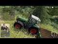 Farming Simulator 2019 Let's play 29