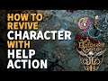 How to Revive Character with Help Action Baldur's Gate 3 Hand