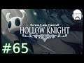 Let's Play Hollow Knight #70a | Deutsch / German | Streamstag 11.08.2020