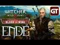 The Witcher 3: Blood & Wine #100 / ENDE - Die vierte Wand - Let's Play The Witcher 3: BaW