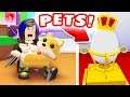 THESE ARE THE COOLEST PETS IN ROBLOX! 😍 (Roblox Adopt Me!)