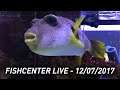Fishcenter Live - December 07, 2017