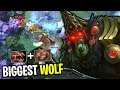 BIGGEST WOLF GIANT RING WRAITH KING + AGHANIM SCEPTER LYCAN COMBO NON STOP HUNTING | DOTA 2