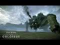 SHADOW OF THE COLOSSUS #9 - BASARAN, O COLOSSO RESISTENTE! - GAMEPLAY - PT-BR