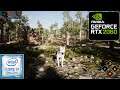 Wilderness - Wolf Gameplay | RTX 2060 6GB + i7 9700F