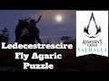 Assassin's Creed Valhalla Ledecestrescire Fly Agaric Puzzle