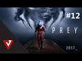 Prey #12 Alexův pokoj |varezcraft