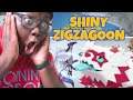 SHINY GALARIAN ZIGZAGOON HUNTING - Pokemon Sword & Shield