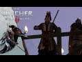 The Witcher 3: Wild Hunt 🐺 048: Reiseziel - Skellige