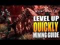 Level Up Mining FAST!! (Route & Tips) - New World Mining Guide