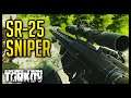 SR-25 Sniper - Escape from Tarkov