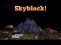 Hypixel Skyblock Coop -  Ep 2