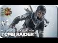 Rise of the Tomb Raider[#1] - Гробница Пророка (Прохождение на русском(Без комментариев))