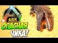 Опасная Чика! Самый быстрый Гигантозавр в ARK Survival Evolved.