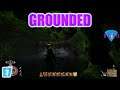 Ladybugs are no joke - Grounded | Let's Play / Gameplay | E7