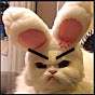 TENSE RABBIT