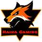 Haina Gaming