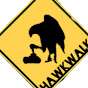 HawkWalk Studios