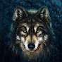 Lone_wolf_315