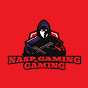NASP gaming