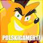 PolskiGamer17