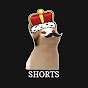 PopCat Shorts
